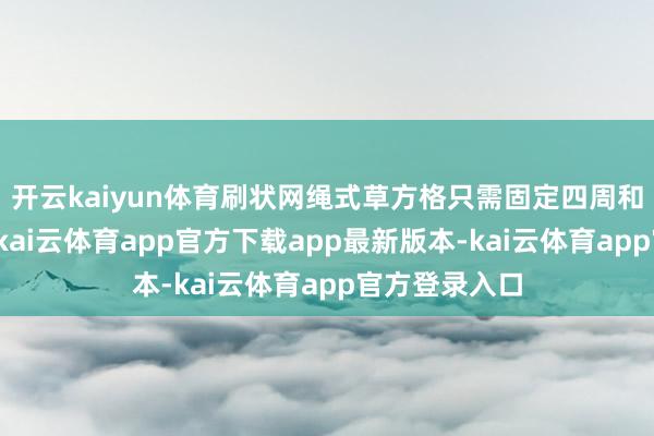 开云kaiyun体育刷状网绳式草方格只需固定四周和网绳交叉处-kai云体育app官方下载app最新版本-kai云体育app官方登录入口